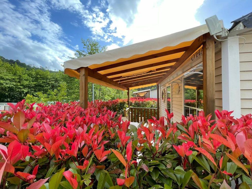 Camping Igara De San Sebastián Esterno foto